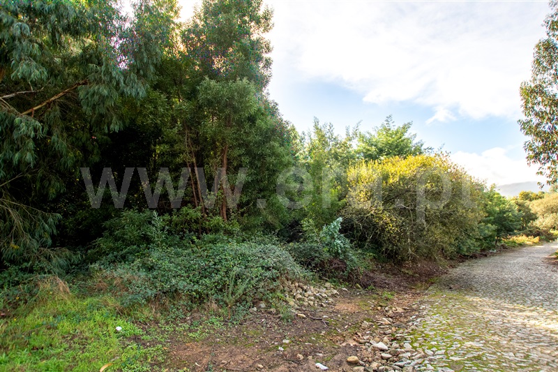 Terreno para Construção  Caminha, Vista Rio - 1205830 - 4