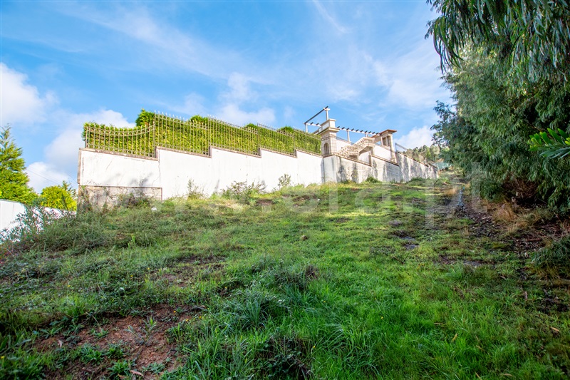 Terreno para Construção  Caminha, Vista Rio - 1205830 - 5
