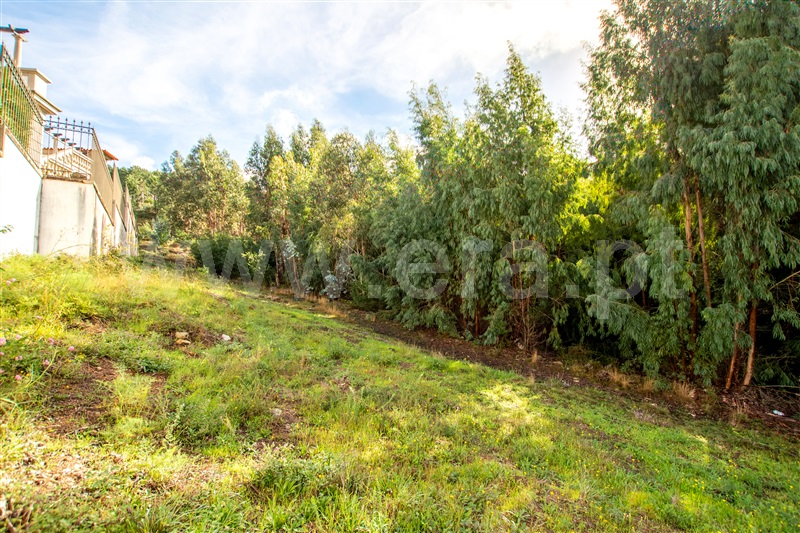 Terreno para Construção  Caminha, Vista Rio - 1205830 - 6