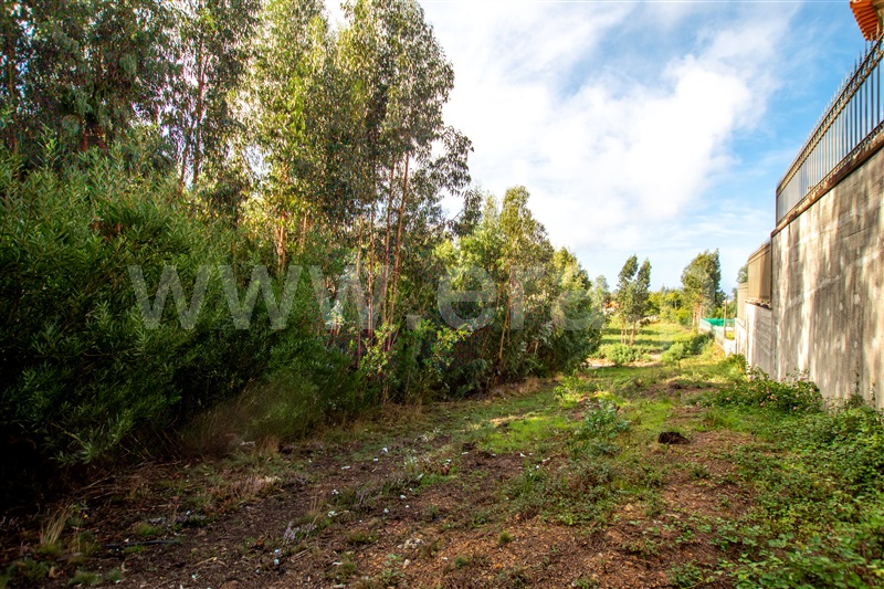 Terreno para Construção  Caminha, Vista Rio - 1205830 - 8