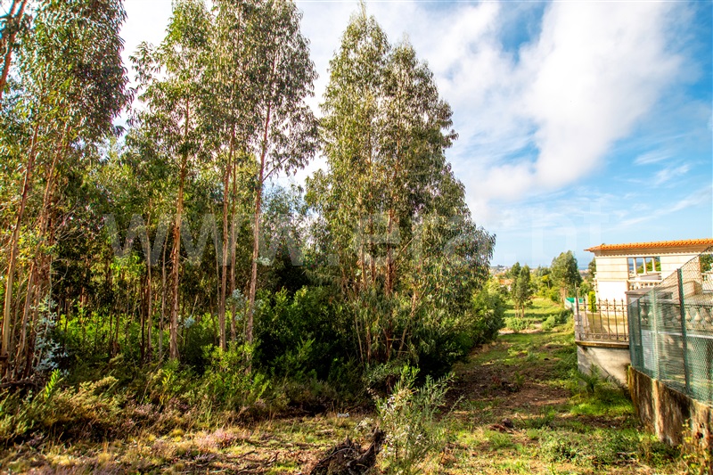 Terreno para Construção  Caminha, Vista Rio - 1205830 - 9