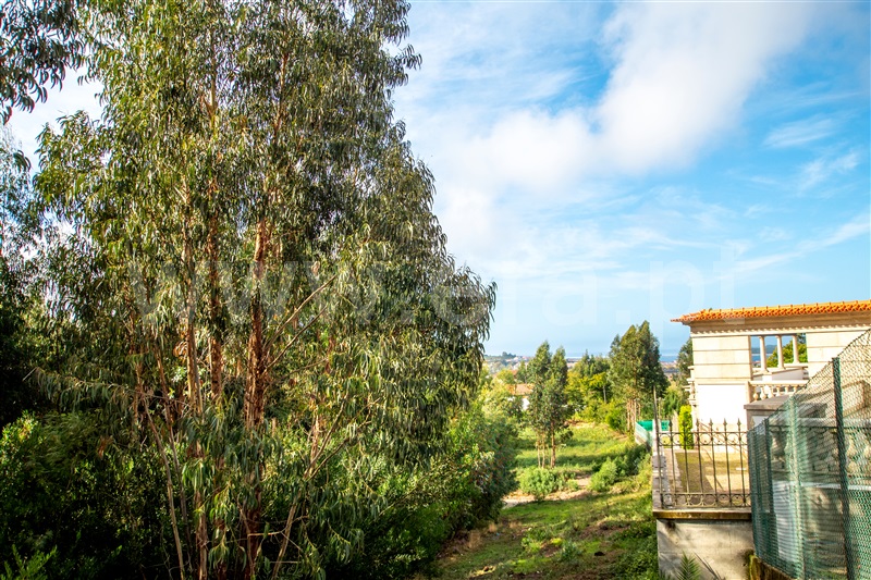 Terreno para Construção  Caminha, Vista Rio - 1205830 - 10