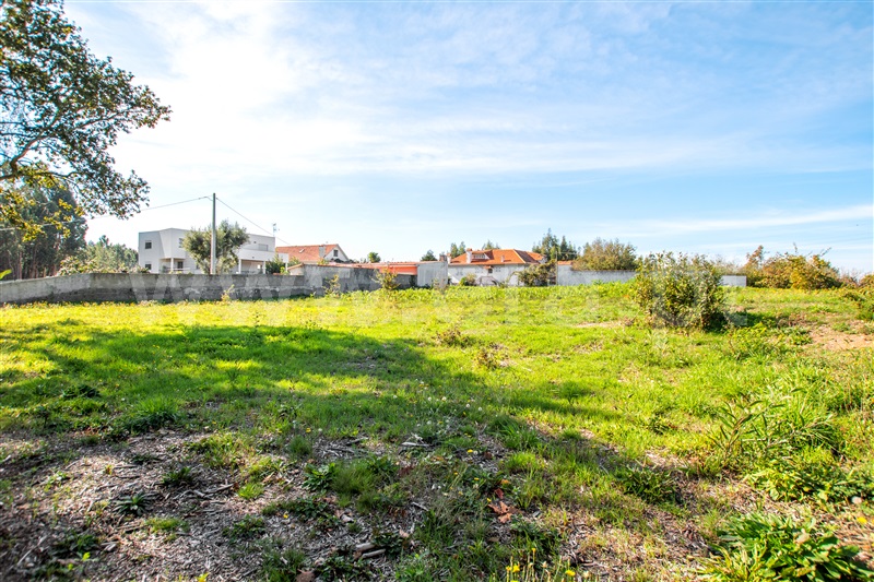 Terreno para Construção  Caminha, Zona Campo - 1208010 - 3