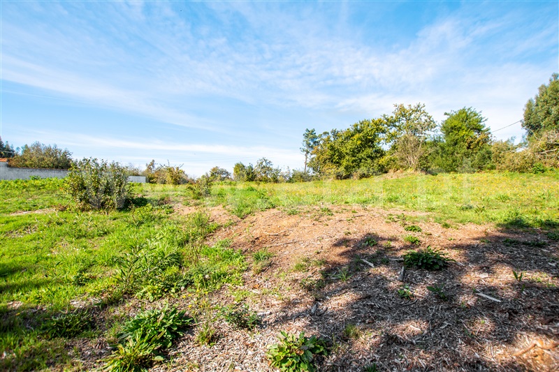 Terreno para Construção  Caminha, Zona Campo - 1208010 - 4
