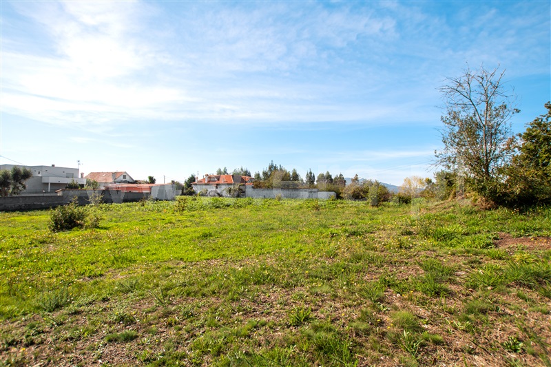 Terreno para Construção  Caminha, Zona Campo - 1208010 - 5