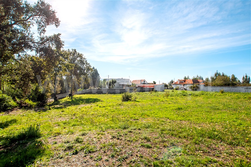 Terreno para Construção  Caminha, Zona Campo - 1208010 - 8