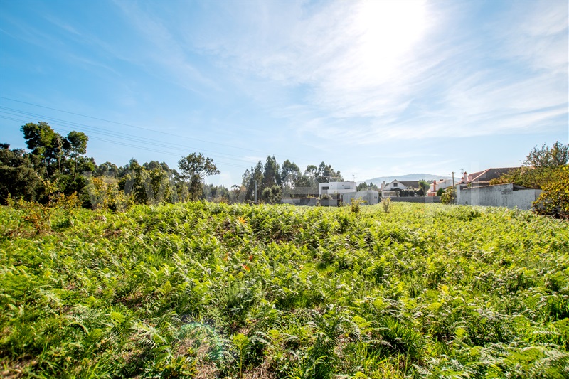 Terreno para Construção  Caminha, Zona Campo - 1208010 - 10