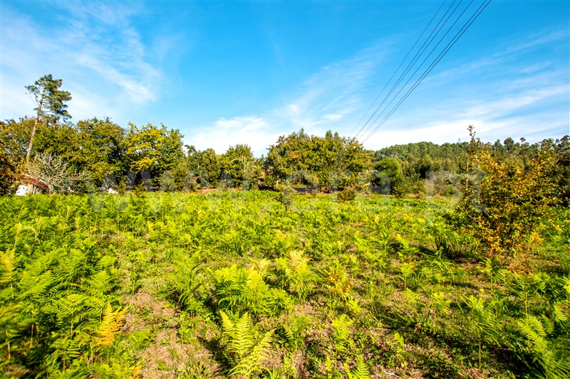 Terreno para Construção  Caminha, Zona Campo - 1208010 - 11