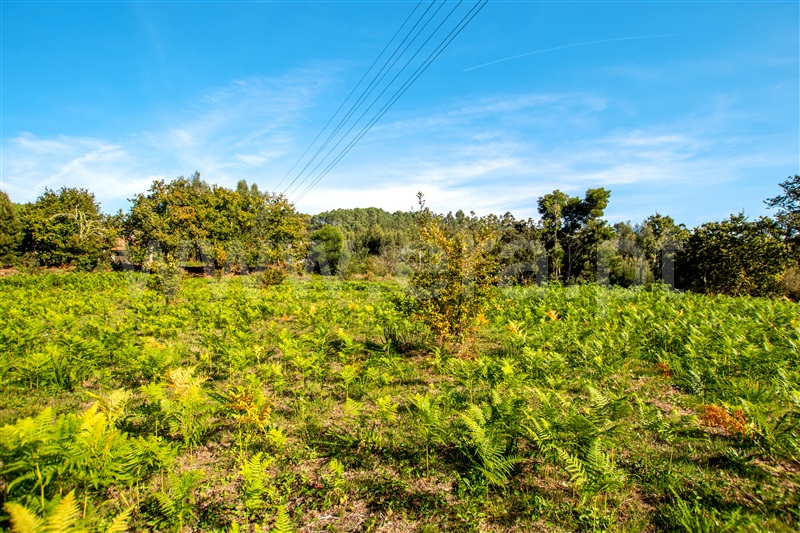 Terreno para Construção  Caminha, Zona Campo - 1208010 - 12