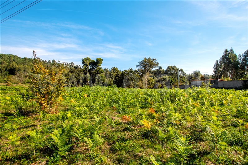 Terreno para Construção  Caminha, Zona Campo - 1208010 - 13