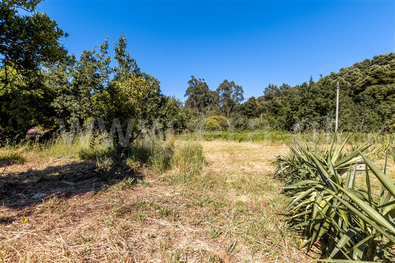 Terreno para Construção  Caminha, Venade e Azevedo - 1184179 - 2