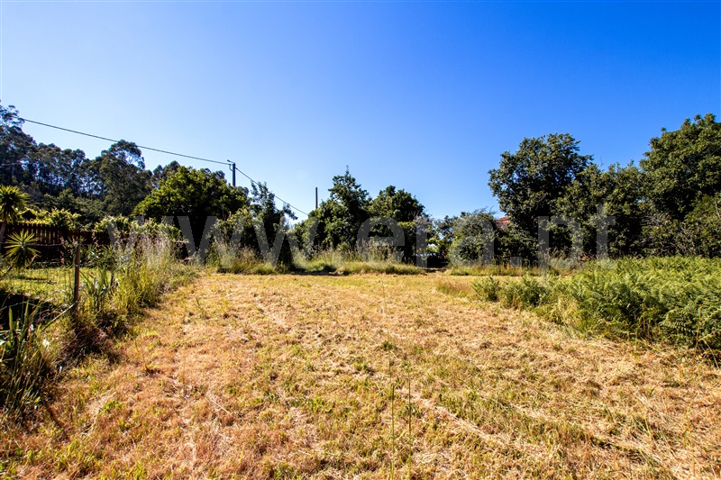 Terreno para Construção  Caminha, Venade e Azevedo - 1184179 - 5