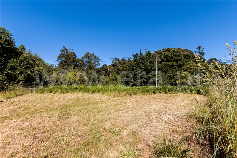 Terreno para Construção / Caminha, Venade e Azevedo
