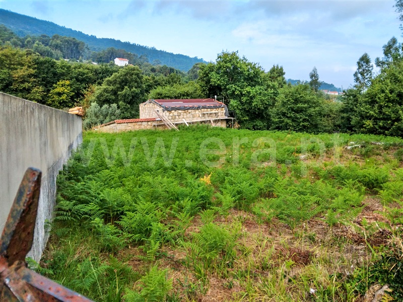 Terreno para Construção  Caminha, Venade e Azevedo - 1196859 - 1