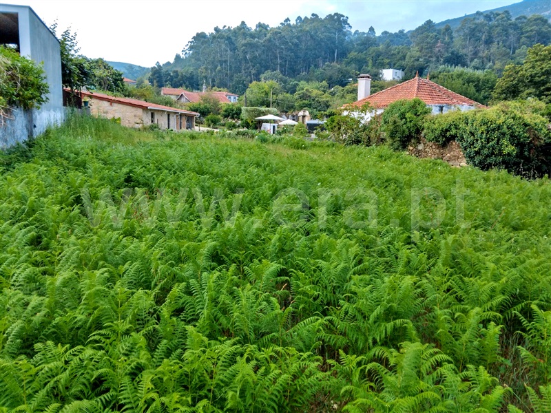 Terreno para Construção  Caminha, Venade e Azevedo - 1196859 - 6