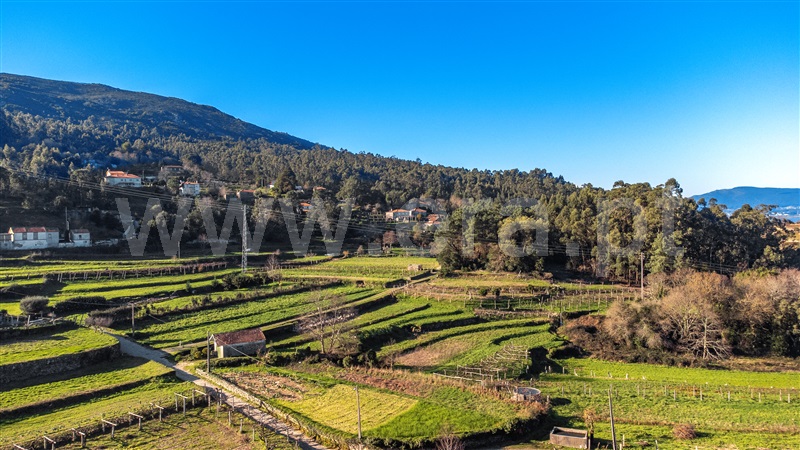 Terreno para Construção  Caminha, Venade e Azevedo - 1295265 - 8