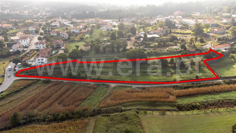 Terreno para Construção  com Rústico Caminha, Venade e Azevedo - 1341134 - 3