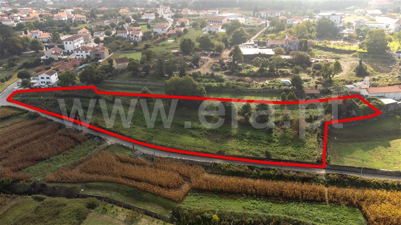 Terreno para Construção  com Rústico Caminha, Venade e Azevedo - 1341134 - 4