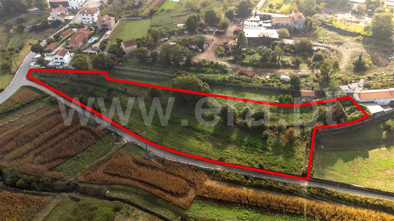 Terreno para Construção  com Rústico Caminha, Venade e Azevedo - 1341134 - 5