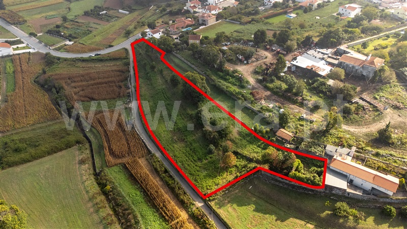 Terreno para Construção  com Rústico Caminha, Venade e Azevedo - 1341134 - 6
