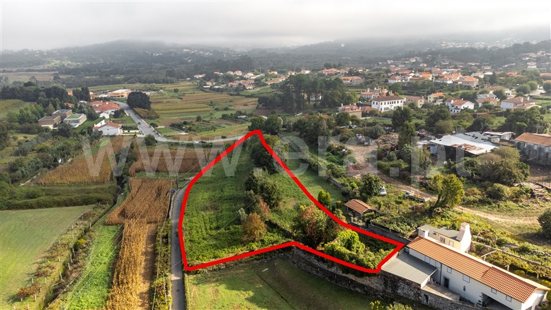 Terreno para Construção  com Rústico Caminha, Venade e Azevedo - 1341134 - 7