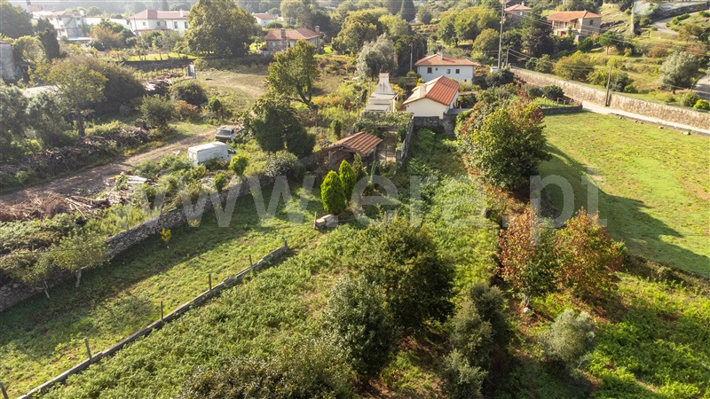 Terreno para Construção  com Rústico Caminha, Venade e Azevedo - 1341134 - 10
