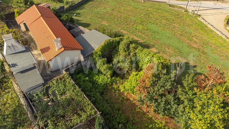 Terreno para Construção  com Rústico Caminha, Venade e Azevedo - 1341134 - 11