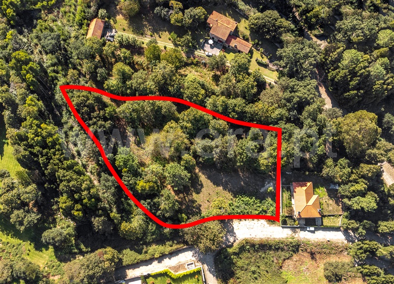 Terreno para Construção  Caminha, Venade e Azevedo - 1358254 - 7