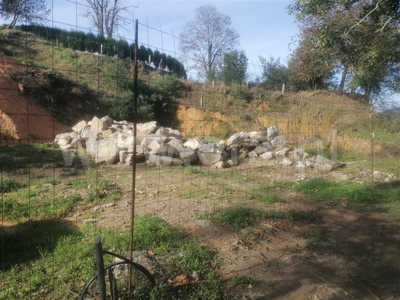 Terreno para Construção  Caminha, Venade e Azevedo - 1369267 - 1