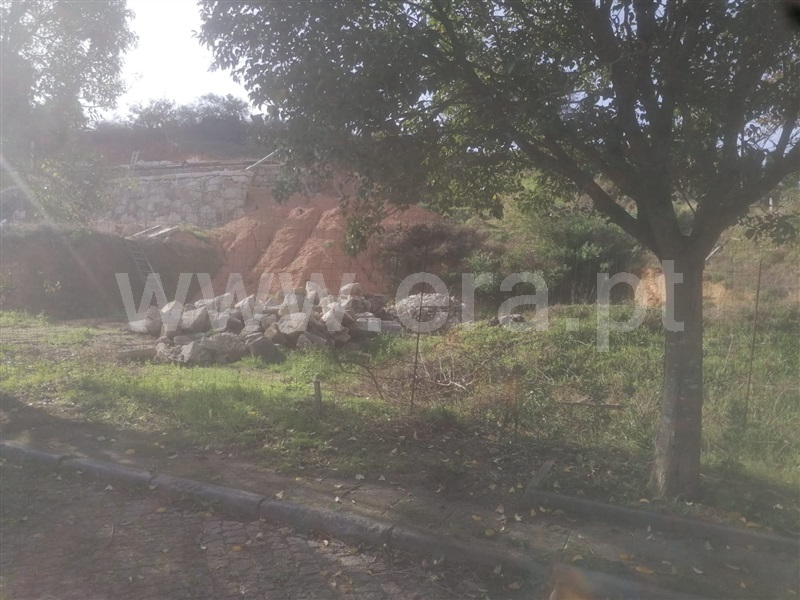 Terreno para Construção  Caminha, Venade e Azevedo - 1369267 - 2