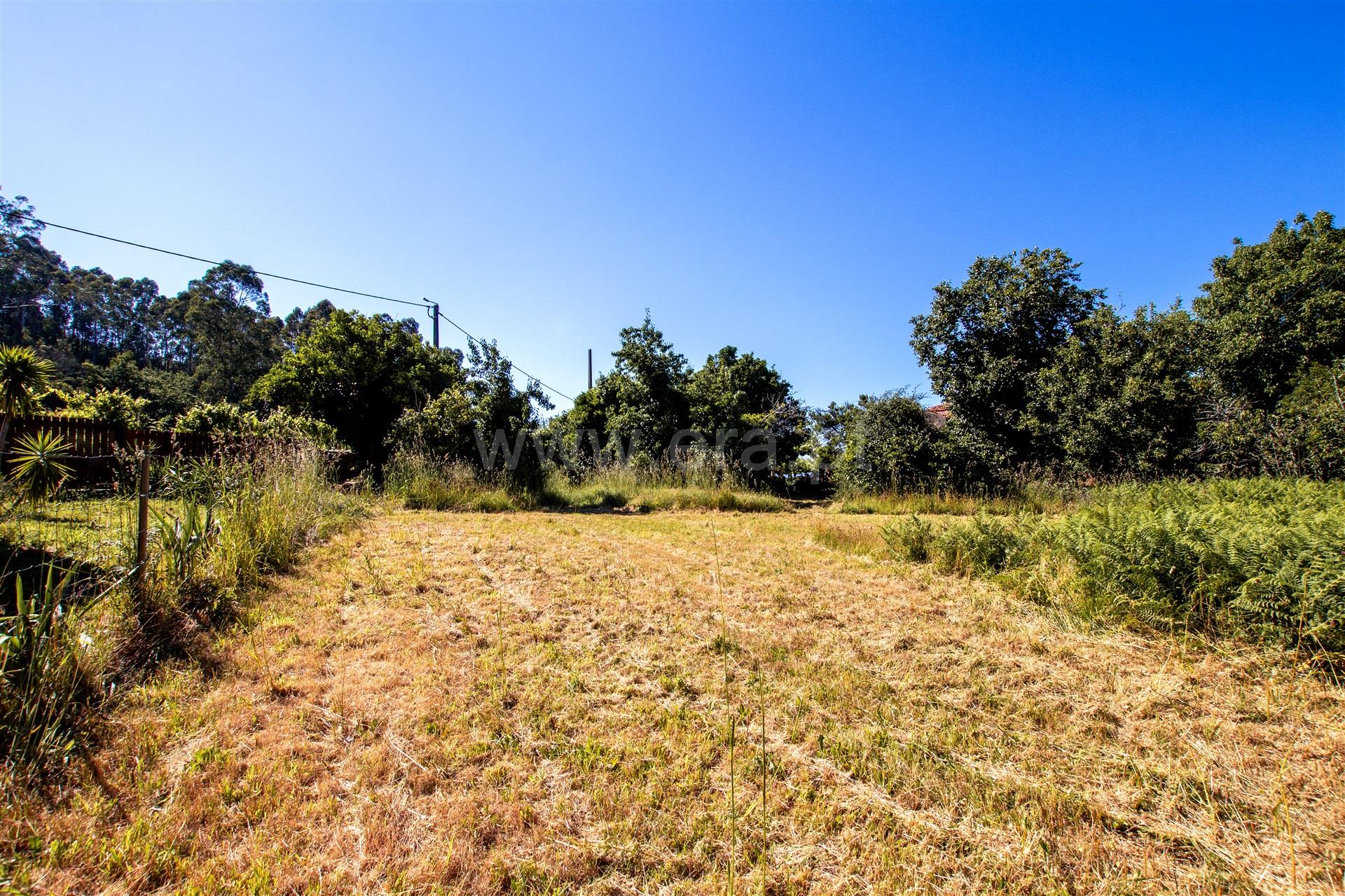 Terreno em Caminha
