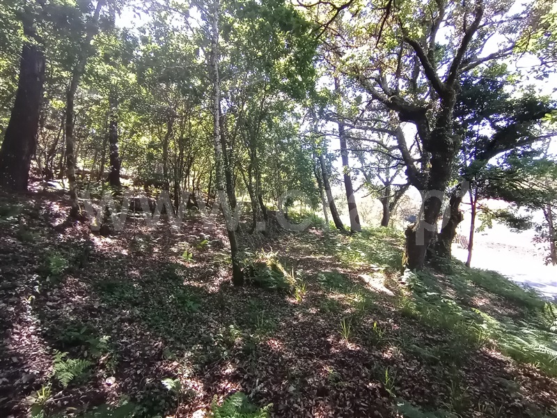 Terreno para Construção  Caminha, Vilar de Mouros - 1176210 - 6