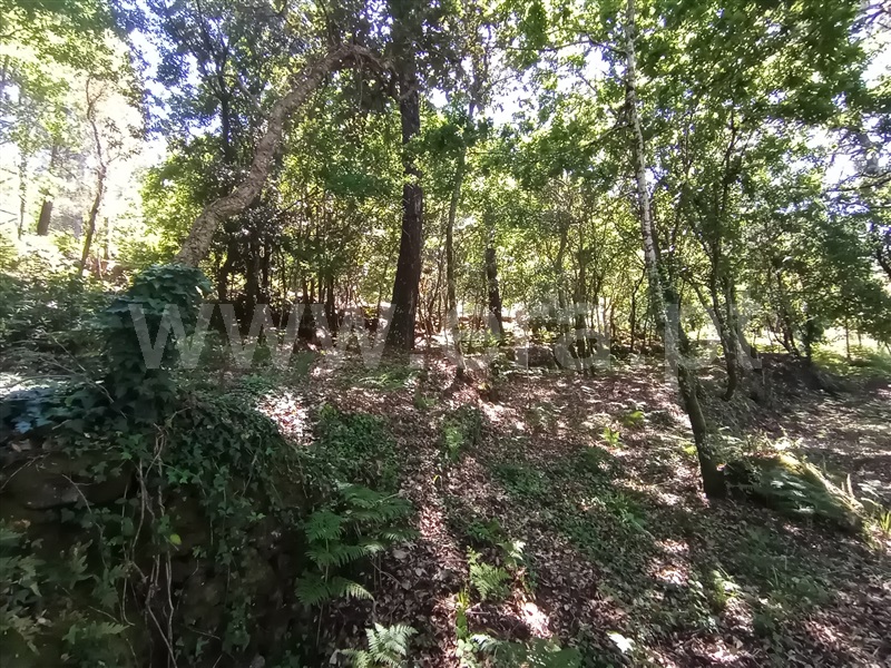 Terreno para Construção  Caminha, Vilar de Mouros - 1176210 - 7