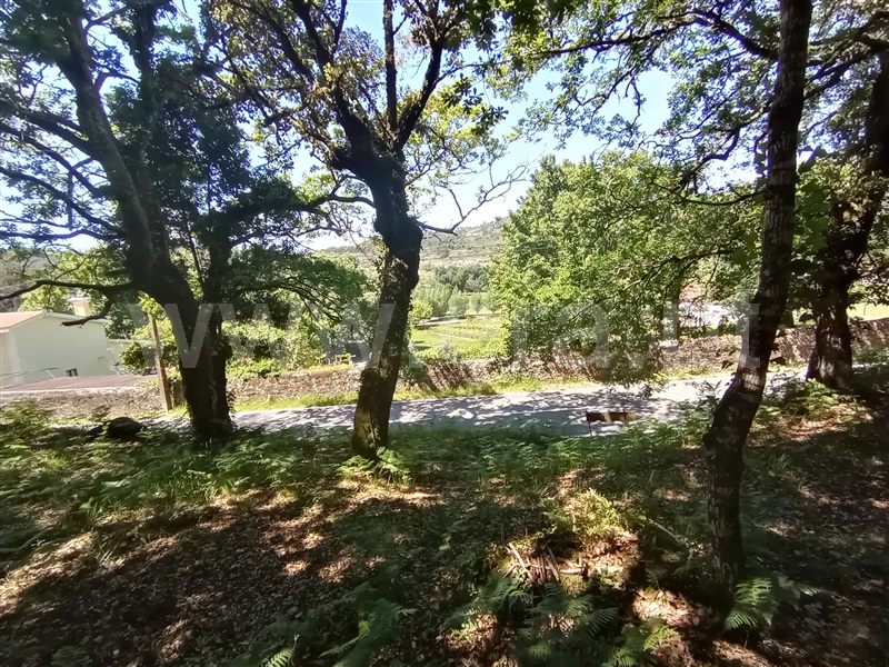 Terreno para Construção  Caminha, Vilar de Mouros - 1176210 - 9