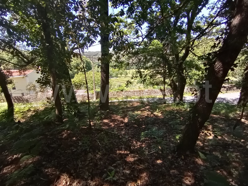 Terreno para Construção  Caminha, Vilar de Mouros - 1176210 - 10