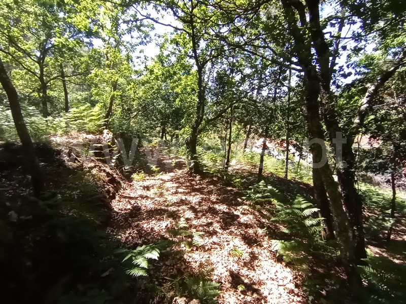 Terreno para Construção  Caminha, Vilar de Mouros - 1176210 - 12