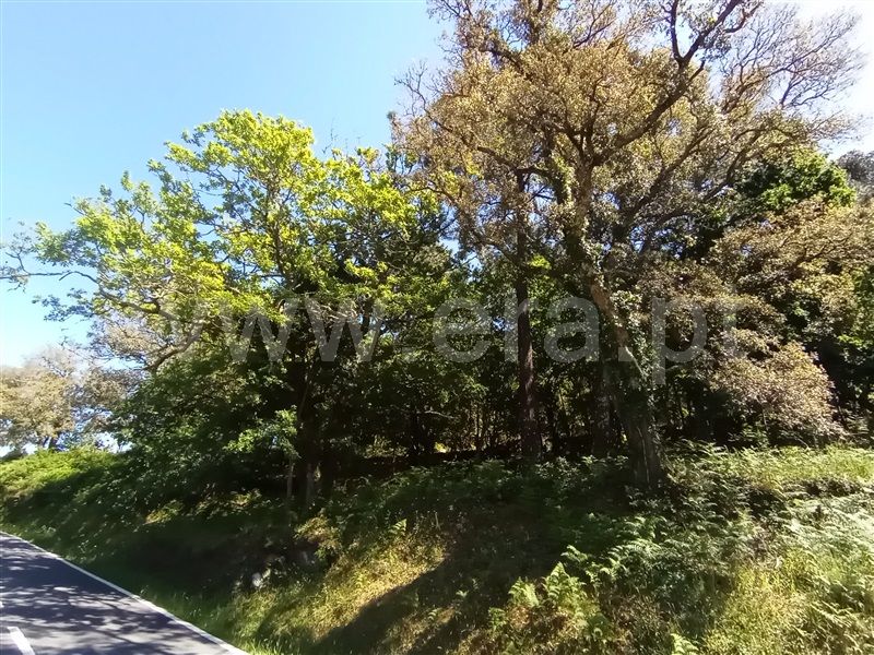 Terreno para Construção  Caminha, Vilar de Mouros - 1176210 - 3