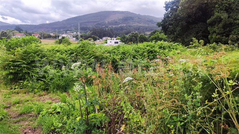 Terreno para Construção T0 Caminha, Vilar de Mouros - 1334616 - 1