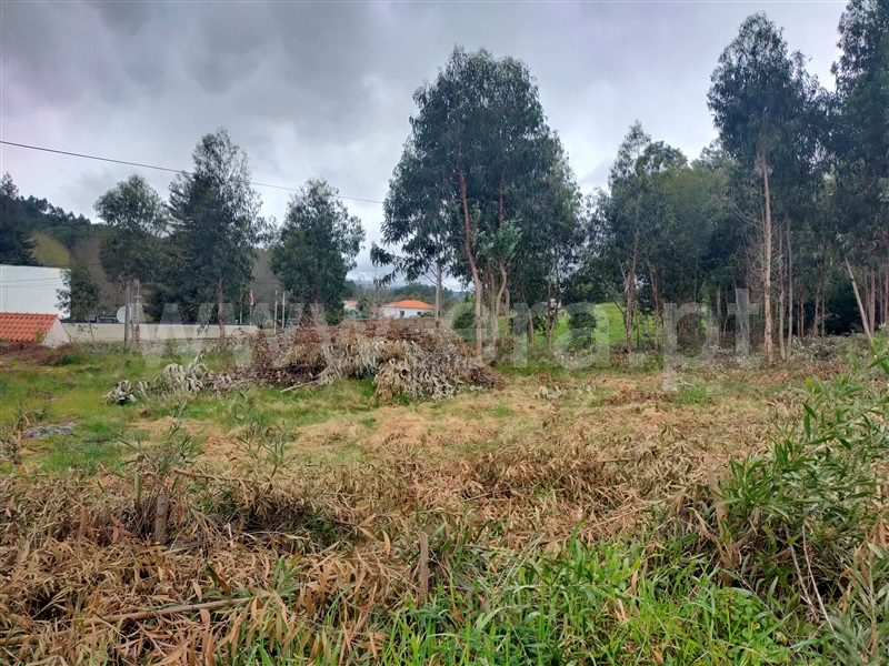 Terreno para Construção / Caminha, Vilar de Mouros