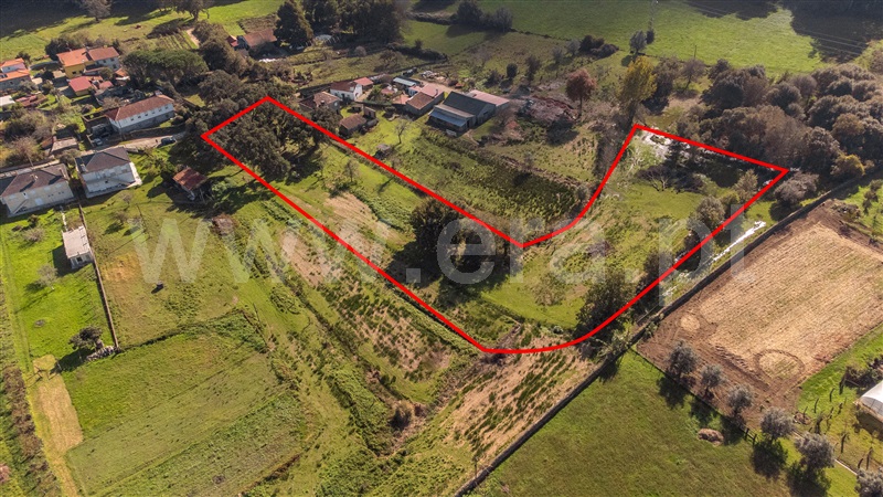 Terreno para Construção  Caminha, Vilar de Mouros - 1441772 - 8