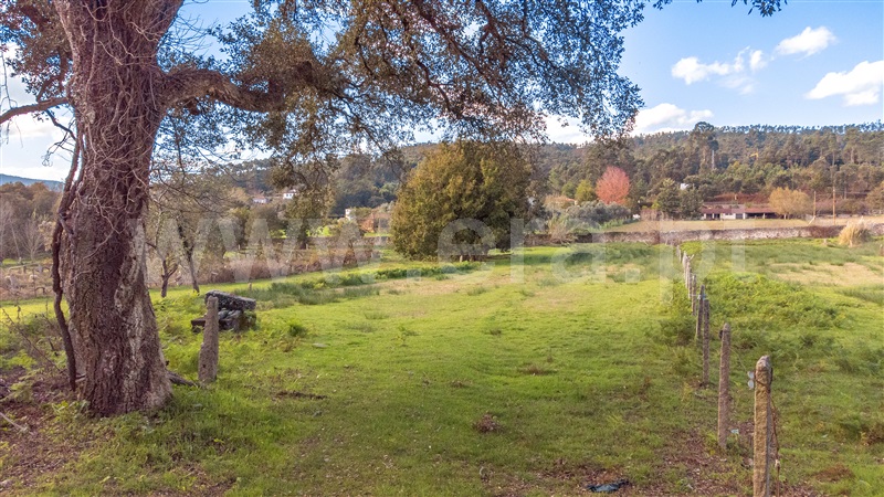 Terreno para Construção  Caminha, Vilar de Mouros - 1441772 - 21