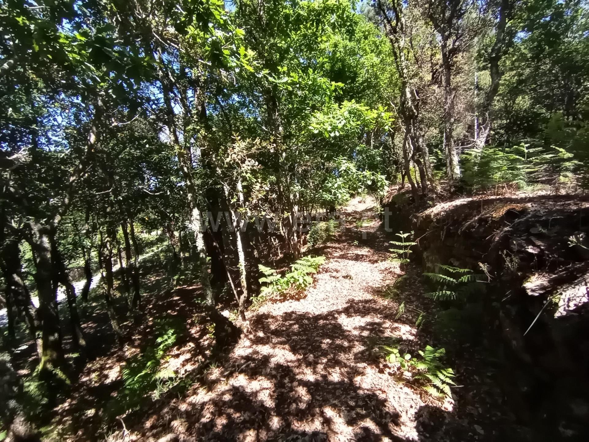 Land for sale in Caminha, Portugal — €52,500