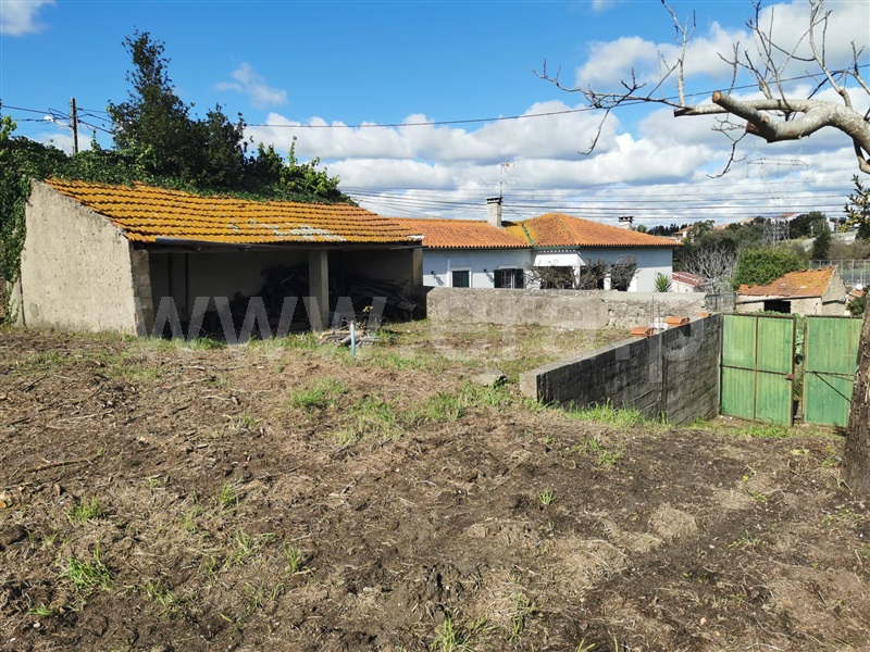 Terreno para Construção  Cantanhede, Ançã - 1466055 - 3