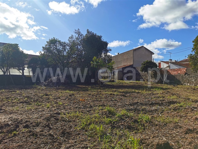 Terreno para Construção  Cantanhede, Ançã - 1466055 - 5