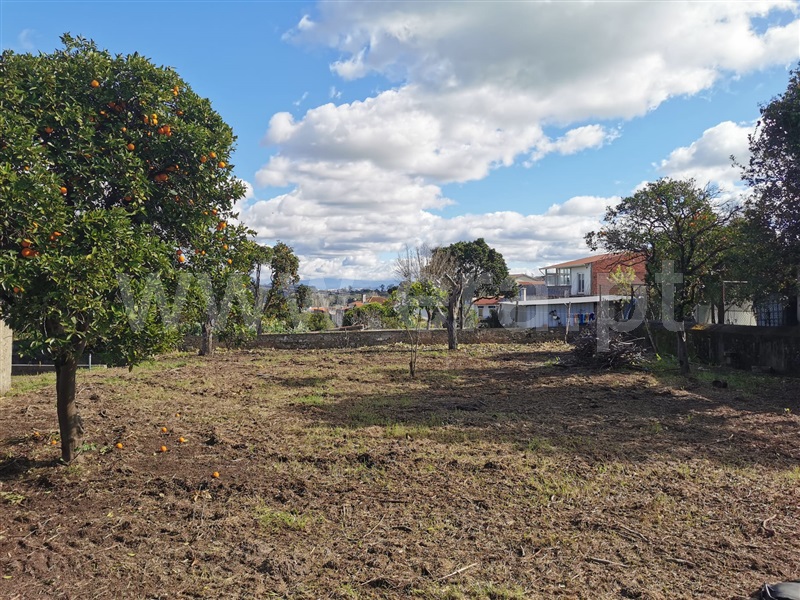 Terreno para Construção / Cantanhede, Ançã