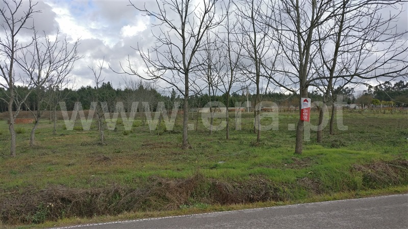 Terreno para Construção  Cantanhede, Balsas - 869634 - 2