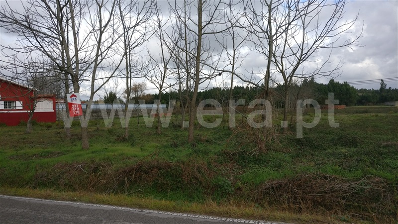 Terreno para Construção / Cantanhede, Balsas