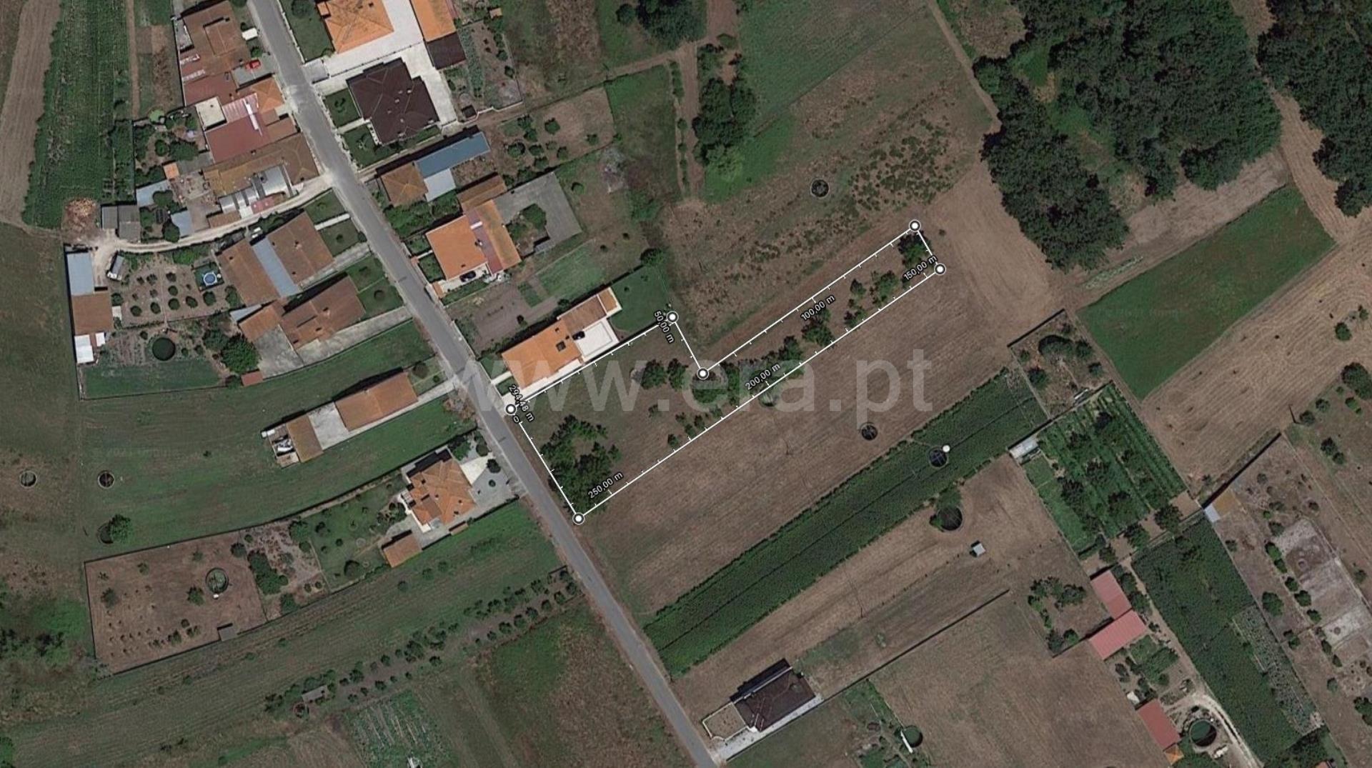 Land for sale in Cantanhede, Portugal — €55,000