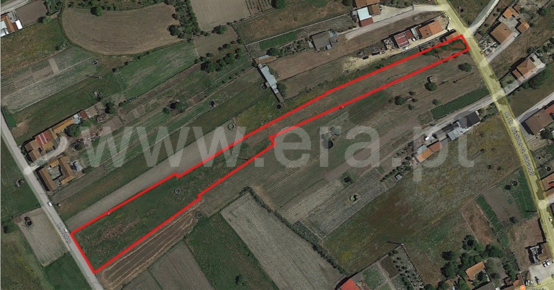 Terreno para Construção / Cantanhede, Cadima
