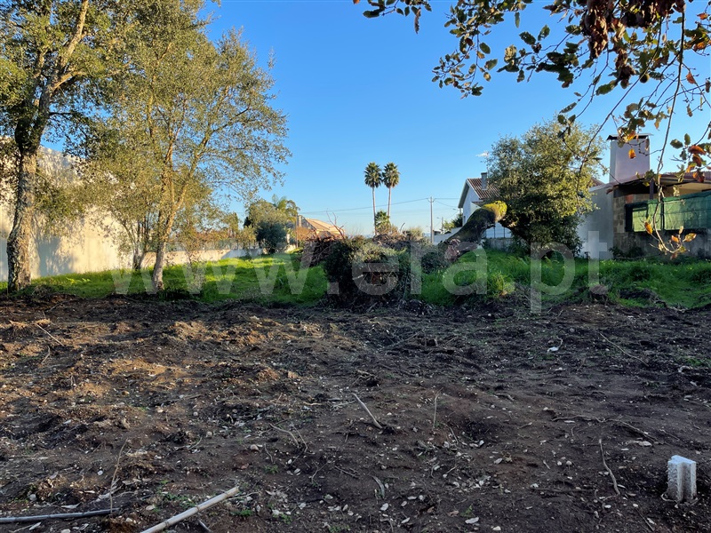 Terreno  Cantanhede, Cordinhã - 1217563 - 3